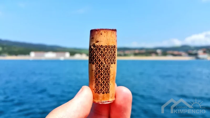 Onderwaterwijn: Luxe en vastgoed in Spanje!