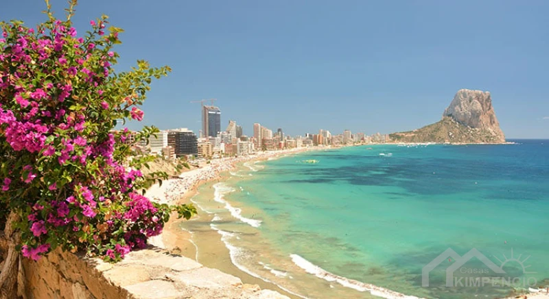 Statistieken : Alicante ziet stijging in expacts!