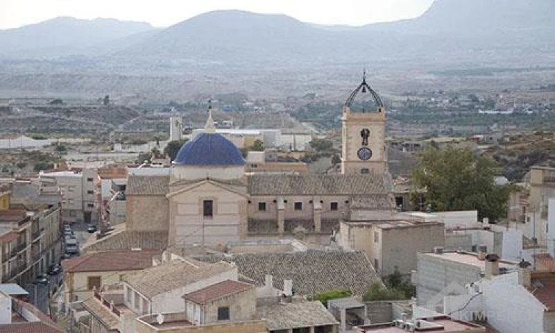 image-Alguena