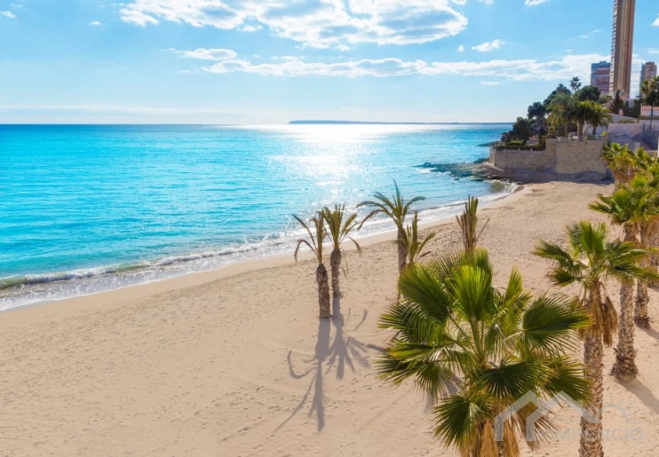 Alicante