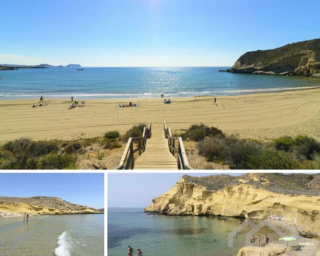 image-Aguilas
