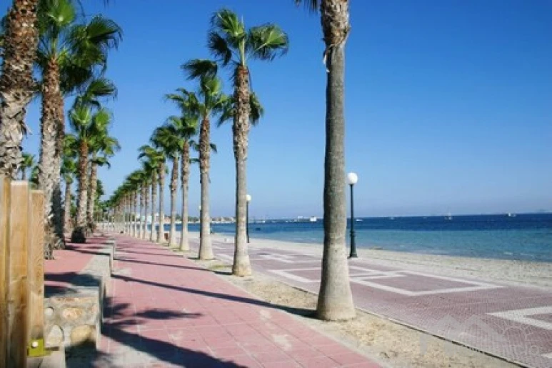 Los Alcazares