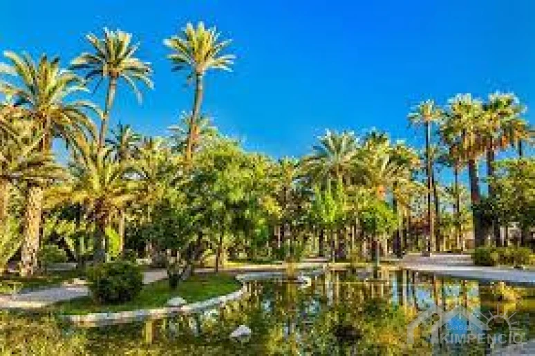 image-Elche-Alicante