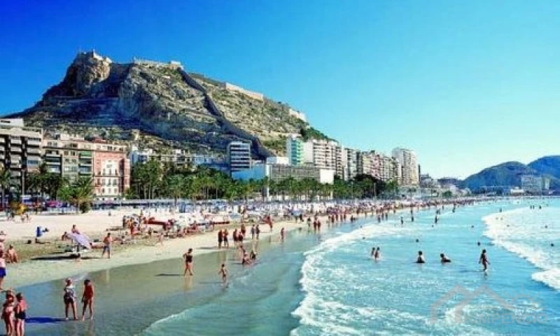 image-El Campello