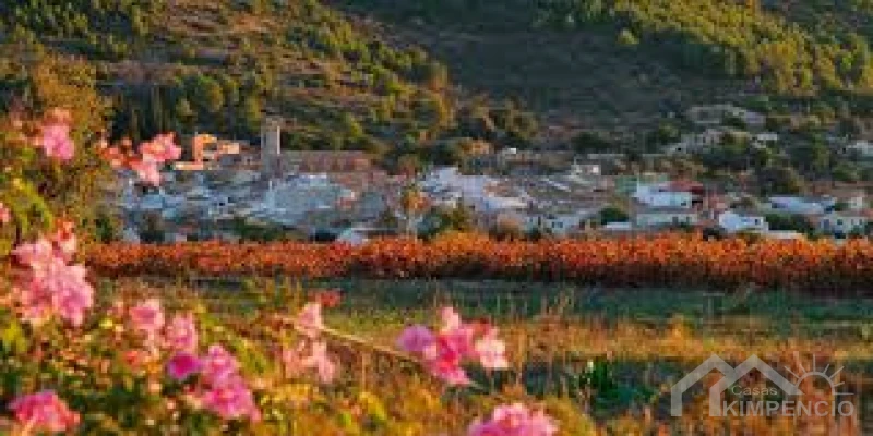image-Llíber