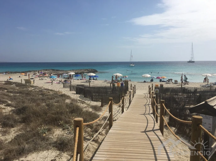 image-Formentera del segura