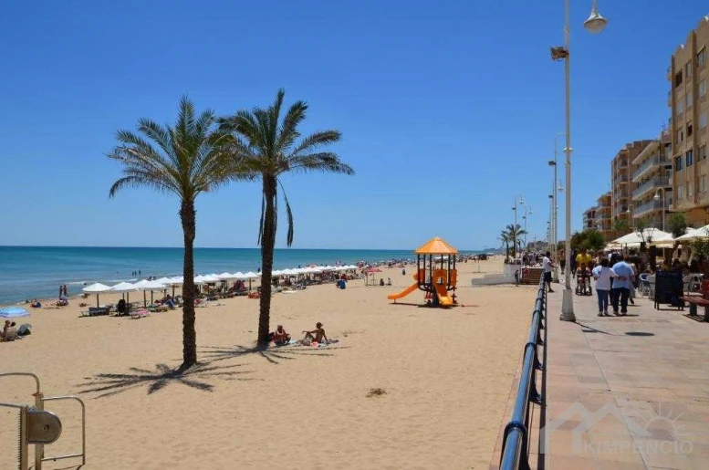 image-Guardamar del segura- Alicante