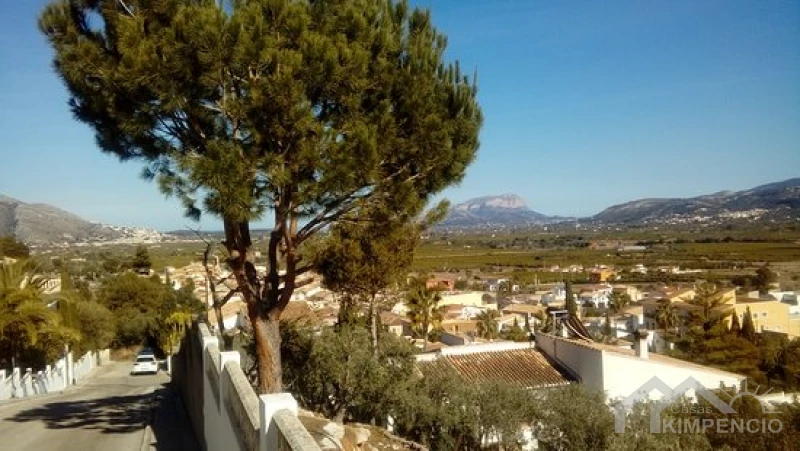 image-Sagra