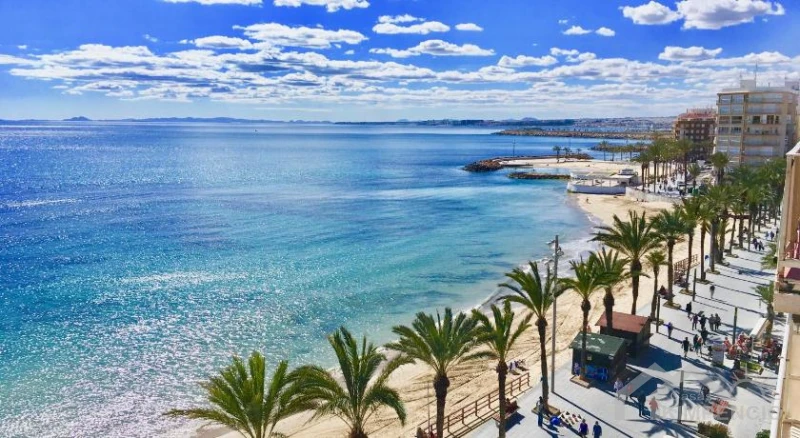 image-Torrevieja-Alicante