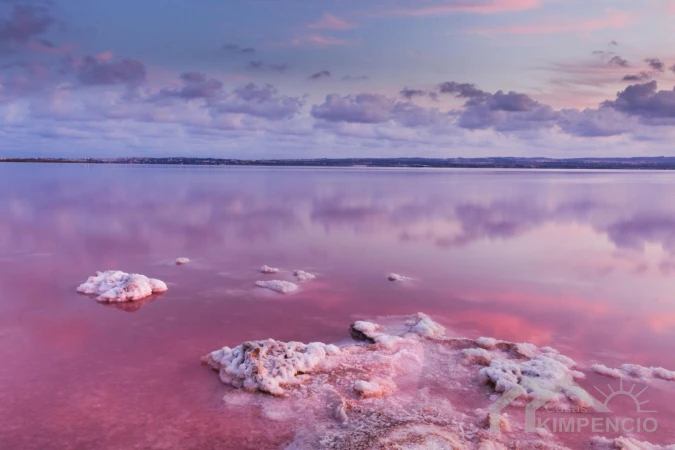 Torrevieja = één van de laatste betaalbare hotspots