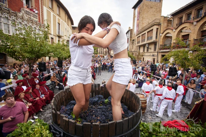 druivenplukfeest