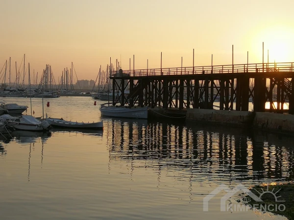 haven Torrevieja
