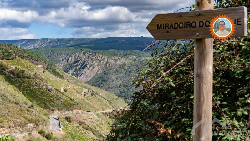monforte del cid natuur