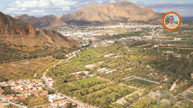 benferri vega baja del segura