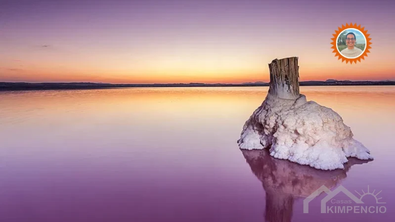 parque natural de las lagunas de la mata y torrevieja