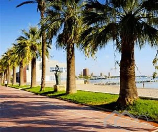 project-10-9163-pic.webp
