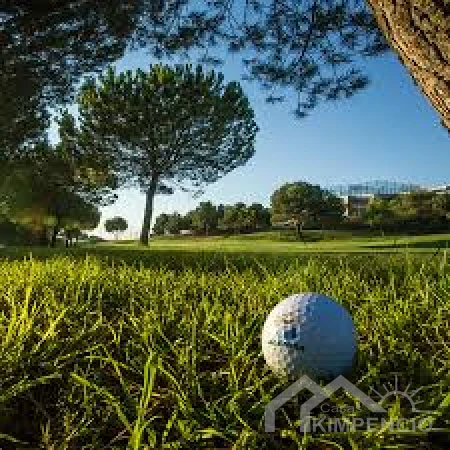 project-130-23145-pic.webp