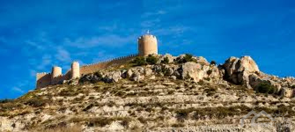 project-1331-28-pic.webp