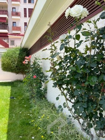 project-160-22902-pic.webp