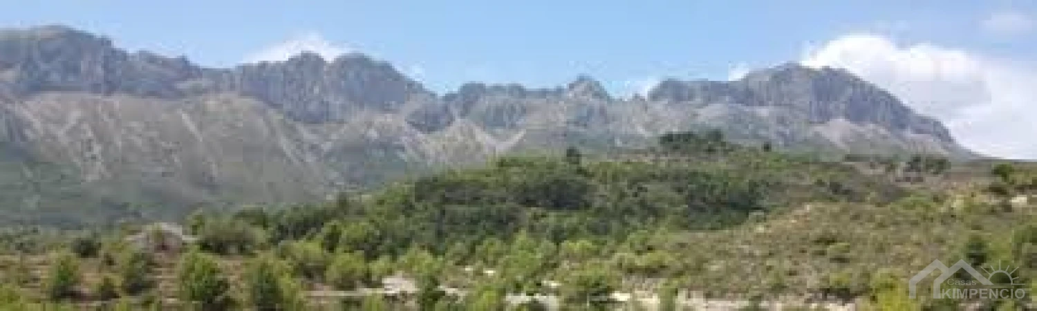 project-240-23443-pic.webp