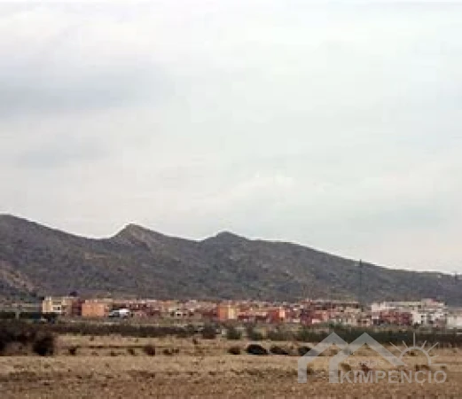 project-243-20499-pic.webp