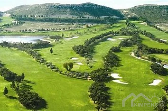 project-243-20500-pic.webp