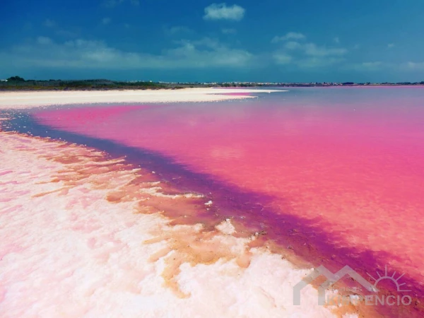 project-254-4293-pic.webp