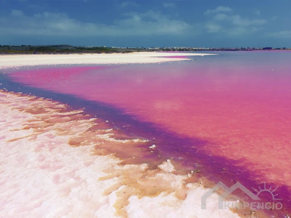 project-353-6037-pic.webp