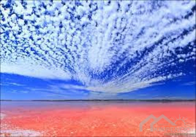 project-412-7615-pic.webp