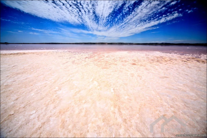 project-427-9848-pic.webp