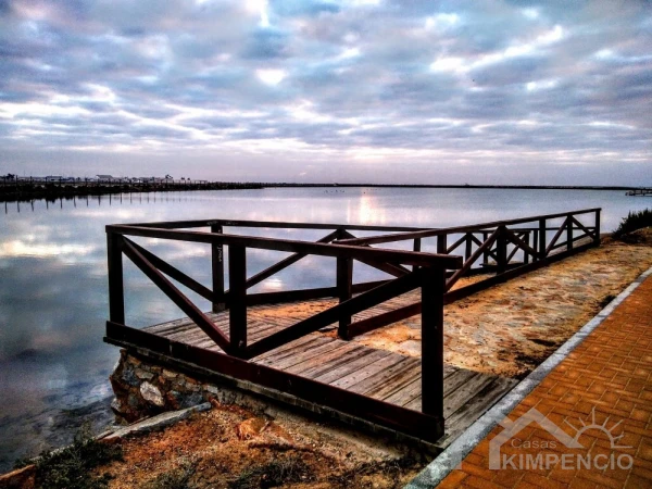 project-447-8926-pic.webp