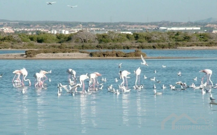 project-447-8947-pic.webp