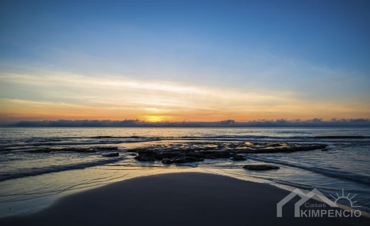 project-471-10254-pic.webp