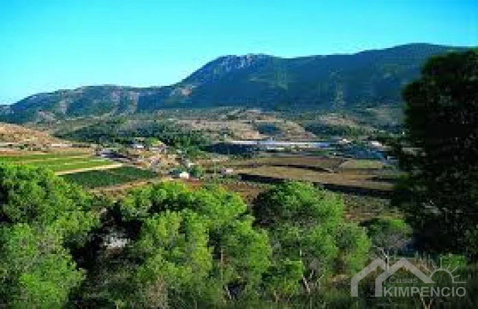project-498-11239-pic.webp