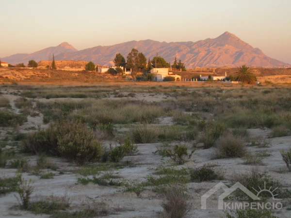 project-499-11243-pic.webp