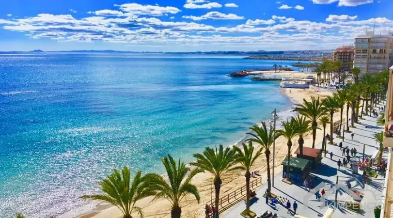 strand orihela costa