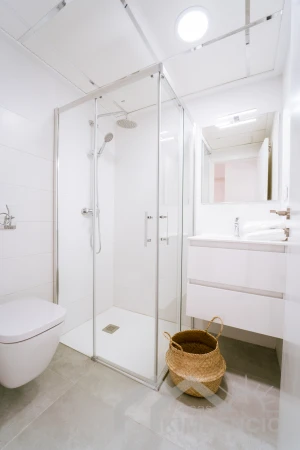 project-50-9528-pic.webp