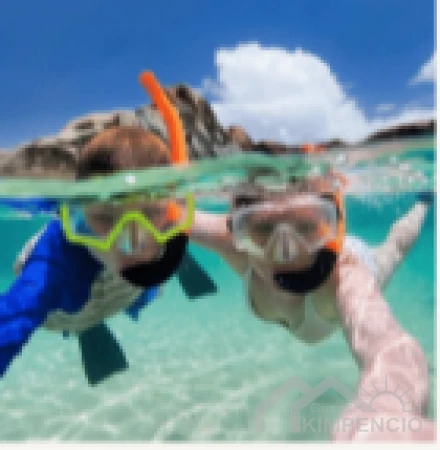 project-510-11666-pic.webp