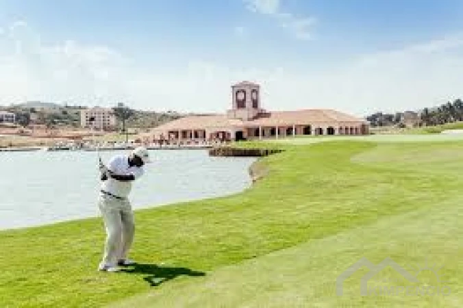 project-554-13056-pic.webp