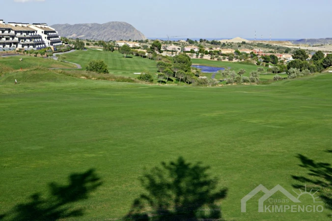 project-579-13989-pic.webp