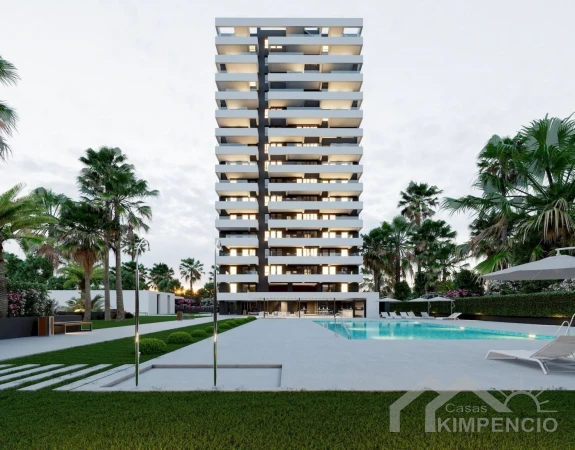 project-594-1-pic.webp
