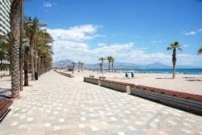 project-598-14-pic.webp
