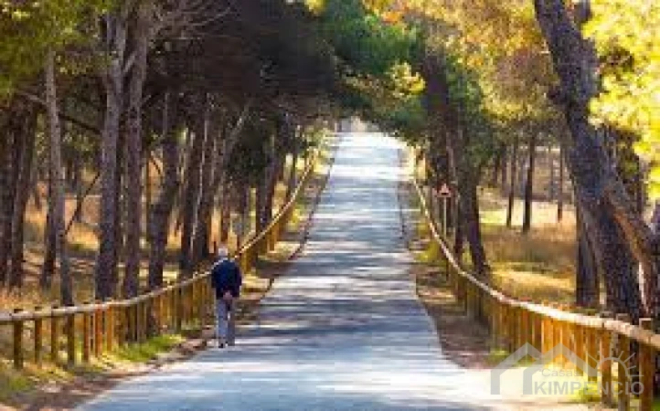 project-656-16310-pic.webp