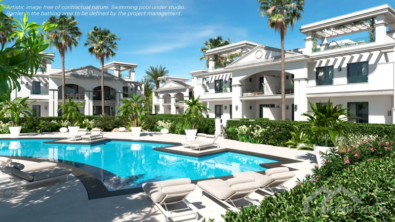 project-657-16325-pic.webp