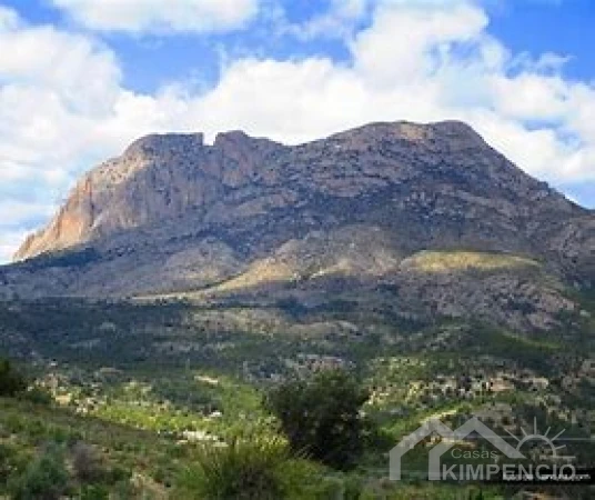 project-746-20338-pic.webp