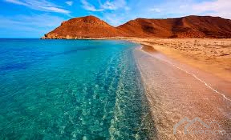 project-84-30733-pic.webp
