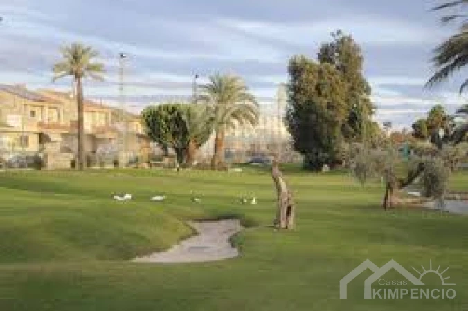 project-867-25237-pic.webp