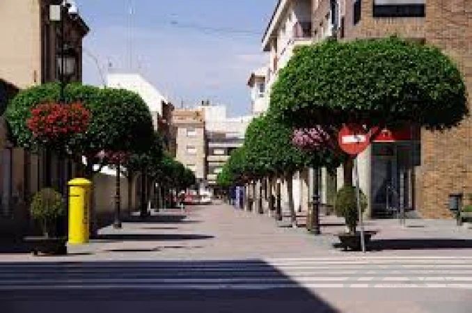 project-867-25243-pic.webp