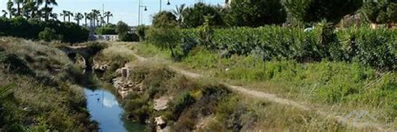 project-917-27033-pic.webp