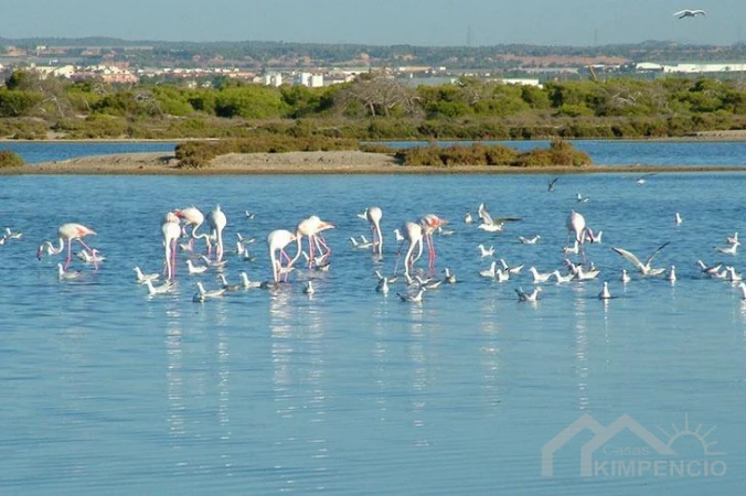 property-1127-3-pic.webp